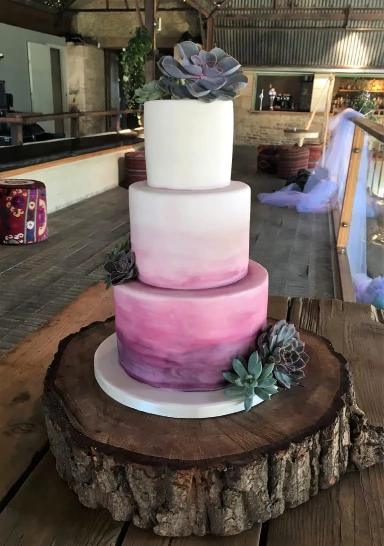 Purple Ombre Painted Watercolour, Fresh Succulents
