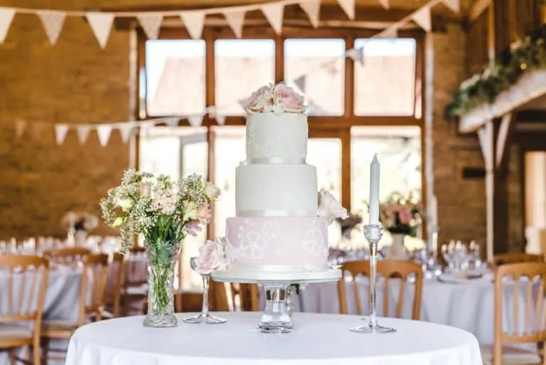 Blush Pink White Brush Embroidery Lace, Sugar Roses
