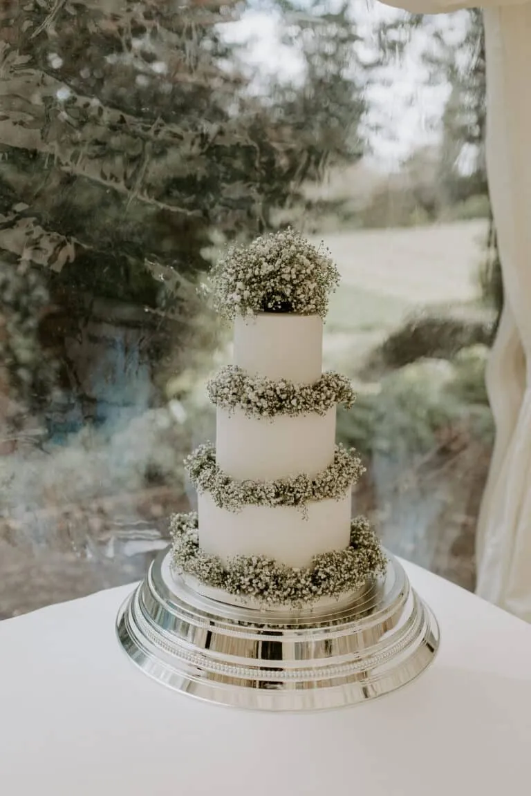 White Iced Wedding Cake